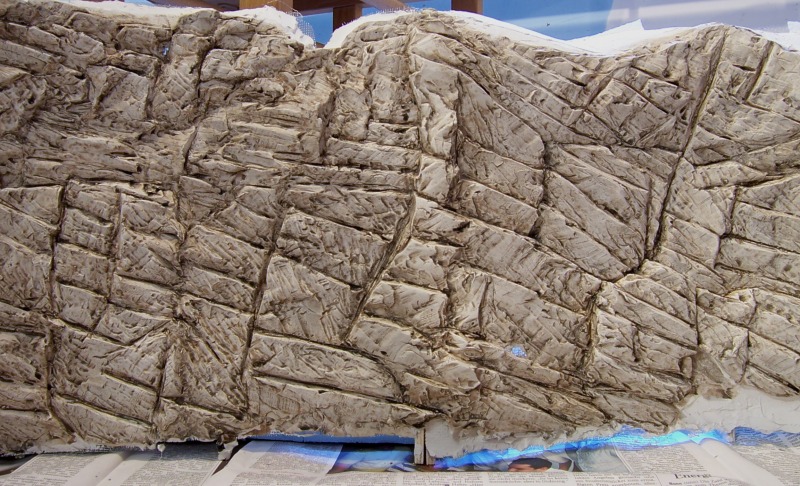 Felswand mit Schmutzfarbe